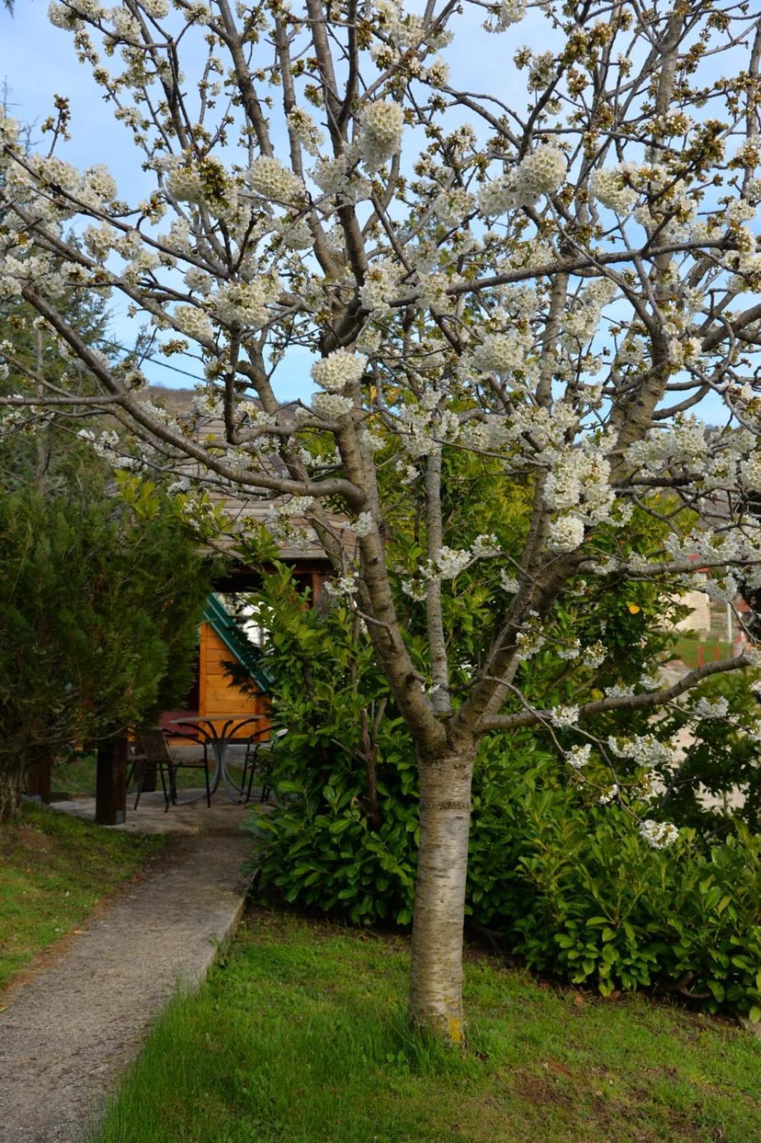 Ferienwohnung Seosko Domacinstvo Starevina Nikšić Exterior foto